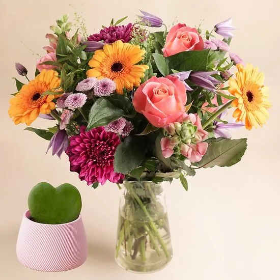 Poésie de saison: bouquet of pink roses, orange gerberas and purple chrysanthemums in a vase with a heart-leaf Hoya kerrii in a pink pot